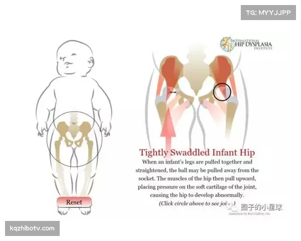 柔道主题漫画《背上的世界》获国际漫画奖项，带动青少年关注